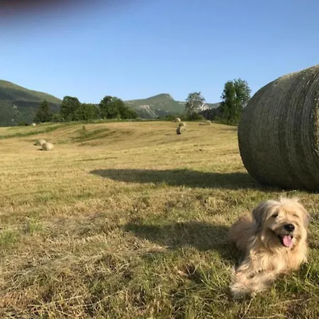 公寓 Mont-dore: Grand T4 Hyper Centre Avec Wifi - Fr-1-608-27